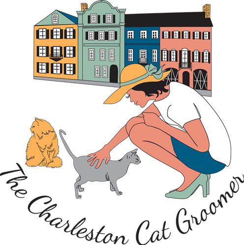 The Charleston Cat Groomer